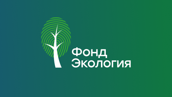 Влияние микропластика на окружающую среду может снизиться в перспективе 20 лет